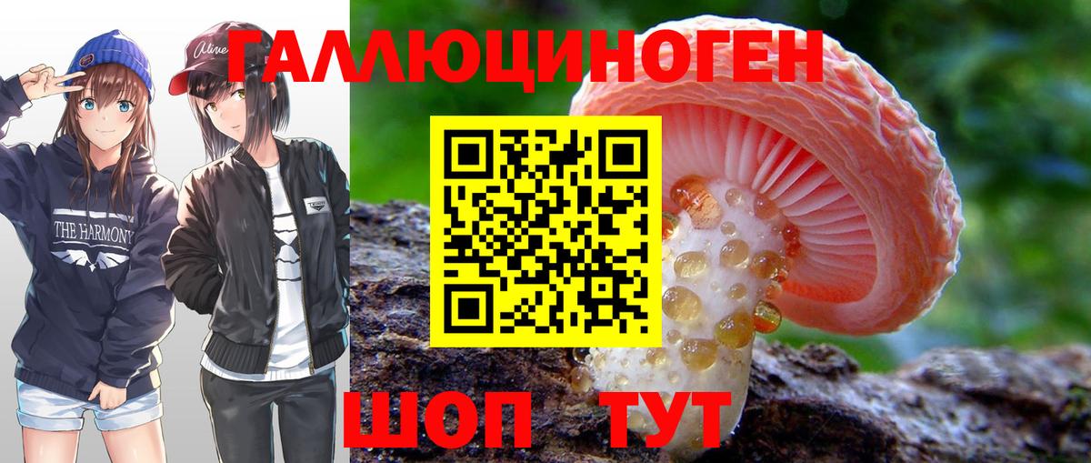 Галлюциногенные грибы Cubensis Бутурлиновка