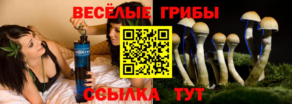 Псилоцибиновые грибы ЛСД  Вход с VPN  купить наркоту  Бутурлиновка 